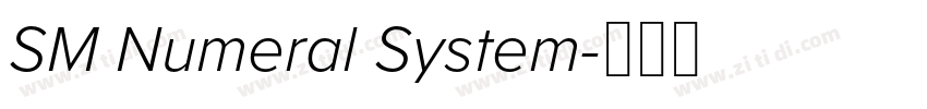 SM Numeral System字体转换 SM Numeral System字体转换